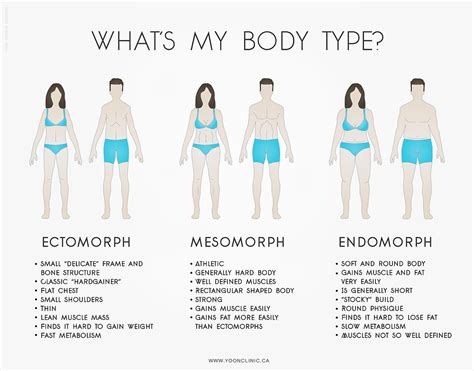 Measurements and Body Features