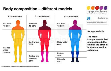 Measurements and Proportions: Analyzing Olivia Winters' Body Composition