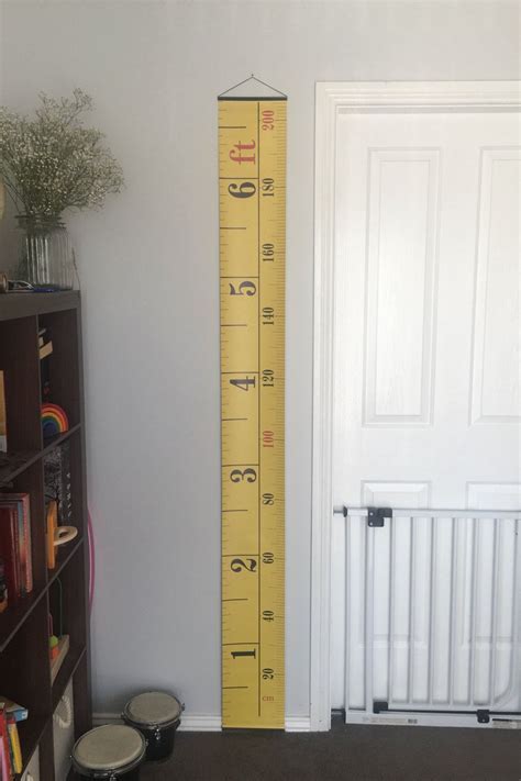 Measuring Up: Insights into Carol Oneal's Height and Figure
