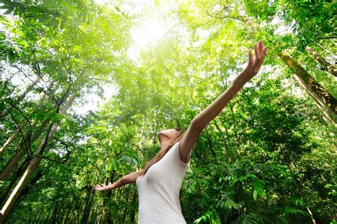 Mental Health Benefits of Embracing the Serendipitous Splendor of Nature