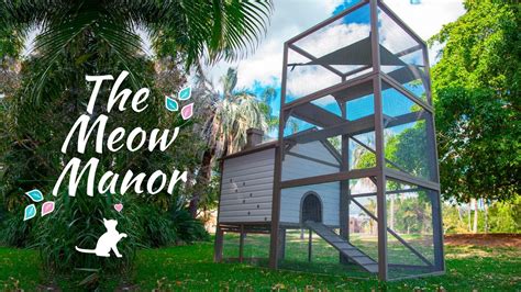 Meow Manor: A Feline Paradise on Earth