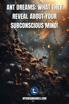 Messages from the Subconscious: Insights from the Crimson Insect