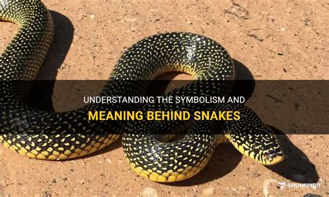 Metamorphosis and Rejuvenation: Understanding Snake Venom's Symbolic Significance