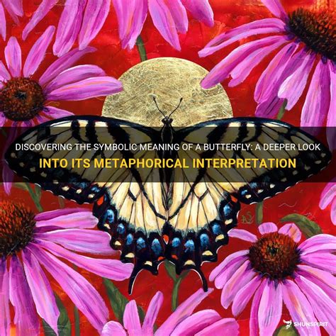 Metaphorical Interpretations: Exploring Symbolic Connections between Natural Weather Patterns and the Course of Life