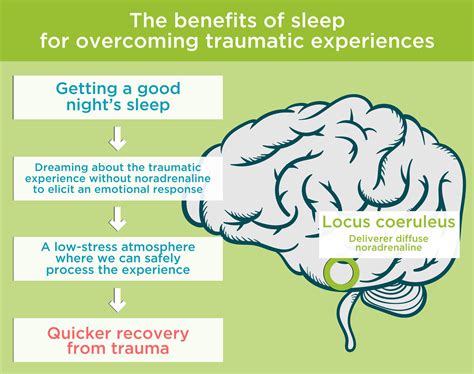 Methods for Inducing Conscious Sleep Experiences