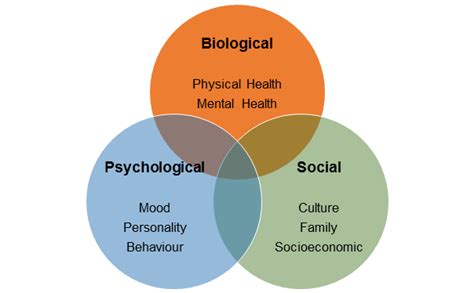 Mind vs. Body: Analyzing the Psychological and Physical Implications of Dreams