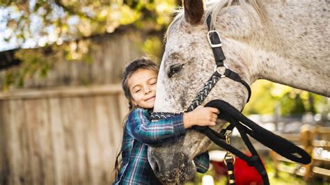 Miniature Horses as Therapeutic Companions: Embracing the Curative Influence of Equine Connections