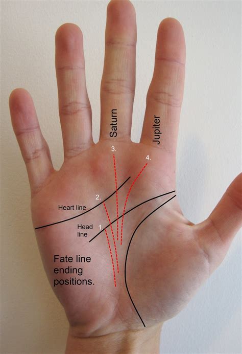 Minor Lines: Decoding the Clues between the Fate Line and the Health Line