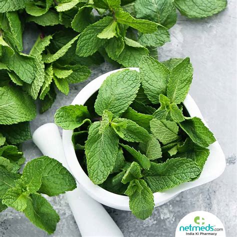 Mint Leaves in Skincare: Revealing the Beauty Benefits of this Natural Ingredient