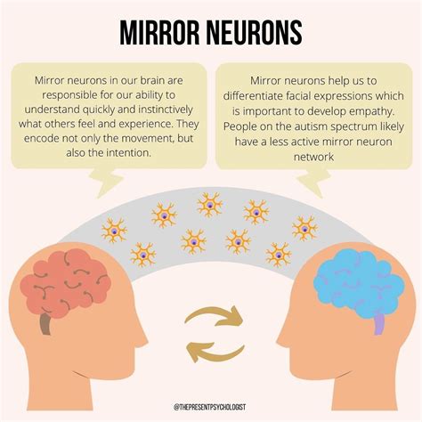 Mirror Neurons: Unraveling the Neuroscience of Self-Perception