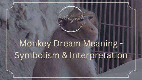 Monkey Dream Interpretation and Symbolism