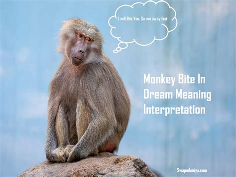 Monkey Dreams: A Glimpse into the Depths of the Subconscious Mind