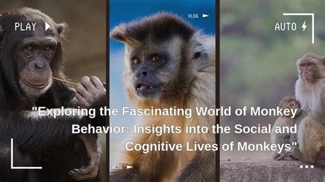 Monkey Insights: Exploring the Subconscious Revelations