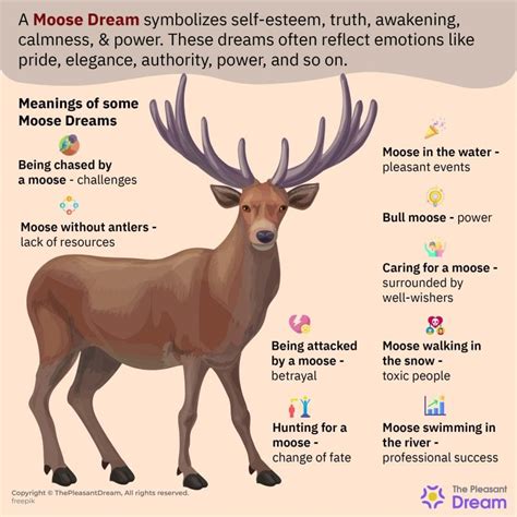 Moose Dreams and Personal Transformation: Insights into Your Inner Growth