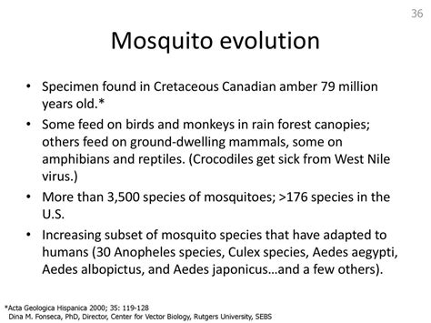 Mosquitoes and Evolution: How They Have Adapted Over millions of Years