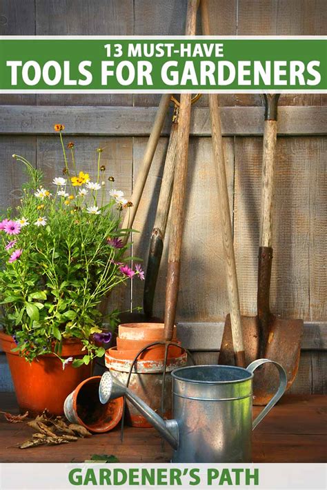 Must-Have Items for Plant Care: Essential Tools for Budding Gardeners