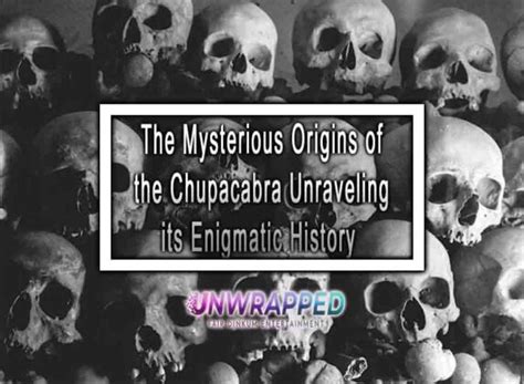 Mysterious Origins: Unraveling the Enigmatic Beginnings