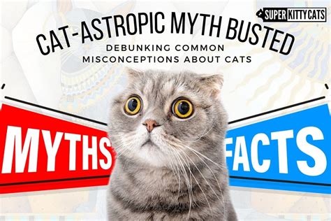 Myth or Reality: Debunking Common Misconceptions about Lethal Felines in One's Dreamscapes