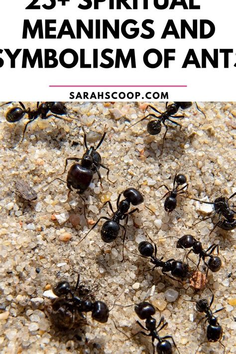 Mythical Symbolism: Exploring the Profound Cultural Significance of Ants