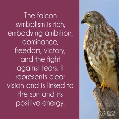 Mythology and Cultural Significance of Colossal Falcons from Diverse Cultures