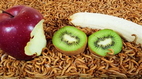 Nature's Curiosities: Understanding the Presence of Worms in Fruits