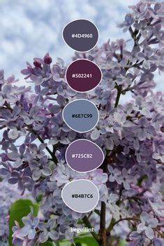 Nature's Palette: The Enchanting Colors of Lilac