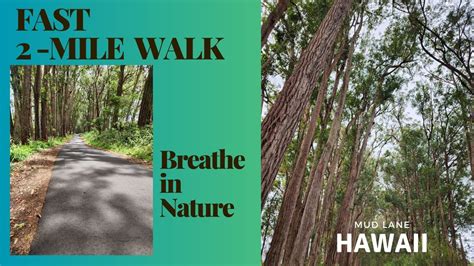 Nature's Rejuvenating Touch: The Therapeutic Power of Walking Unshod in Natural Surroundings