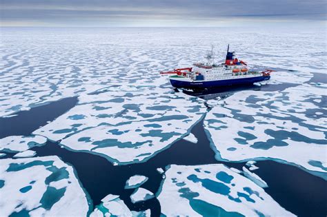 Navigating the Arctic Sea: Stories of Ice and Adventure