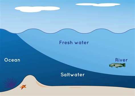 Navigating the Flow: The Impact of Water Currents on Marine and Aquatic Life