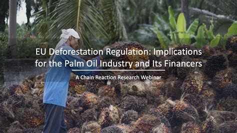 Navigating the Legal and Regulatory Landscape for Sustainable Palm Industry