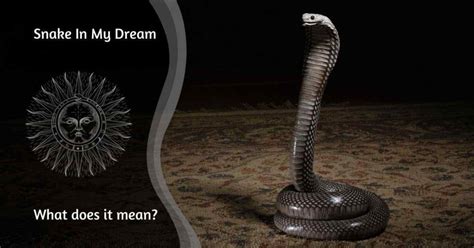 Navigating the apprehension and uneasiness linked to visions of snake pairs