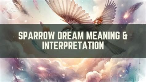 Negative Interpretations of Sparrow Dreams