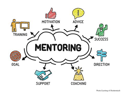 Network and Seek Guidance from Mentors