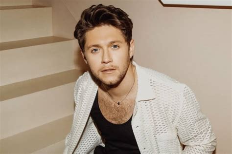 Niall Horan: A Rising Star in the Music Industry