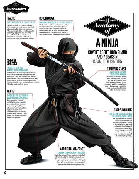 Ninja Legends and Popular Culture: From Historical Facts to Fictional Representations