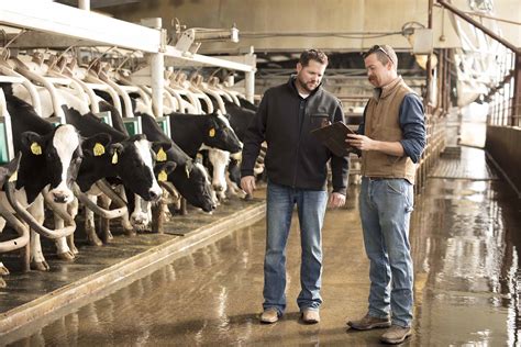 Nurturing Your Skills: Education and Training for Milk Service Professionals