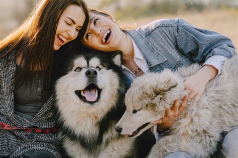 Nurturing the Bond: Benefits of Having a Canine Companion and Little Bundle of Joy Together