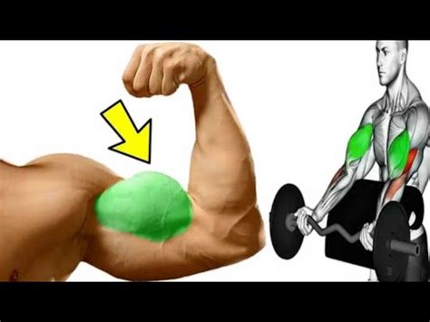 Nutrition Tips for Maximum Arm Muscle Growth