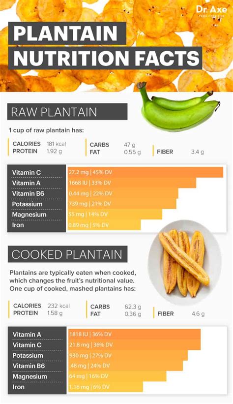 Nutritional Benefits of Plantain: A Healthy Treat for Your Taste Buds