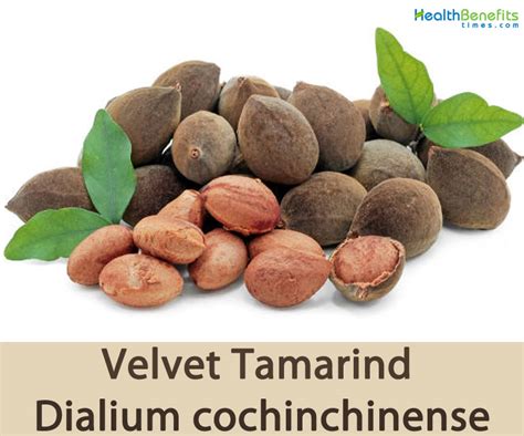 Nutritional Marvels: Discovering the Health Advantages of Velvet Tamarind