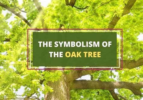 Oak Tree Symbolism: Revealing Its Profound Significance in Dream Analysis