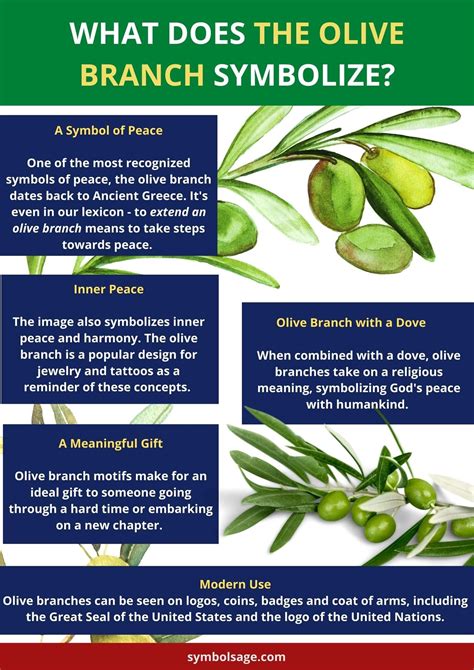 Olive Tree: A Symbol of Harmony and Prosperity