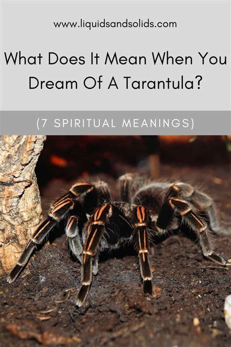 Omens or Messages? Exploring the Supersitions Surrounding Dreams of Spiders