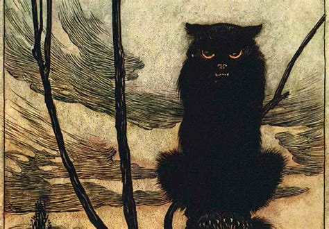 Orange Cats in Mythology and Folklore: What Messages Do They Bring?