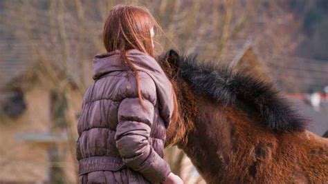 Overcoming Challenges and Enjoying the Rewards of Horse Caressing