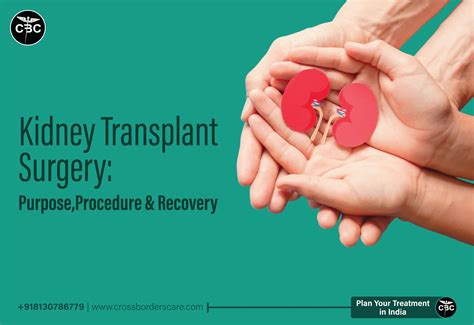 Overcoming Obstacles: The Path to Recovery in Organ Transplantation