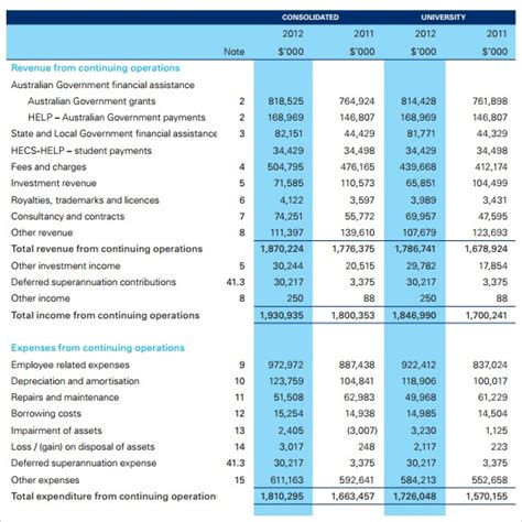 Overview of Dripping Rayne's Financial Status