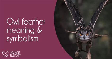 Owl Feathers as a Symbol of Transition and Transformation