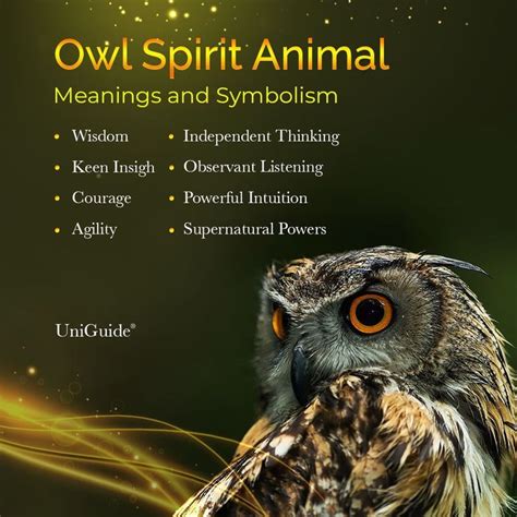 Owls as Spirit Animals: The Meaning of Having an Owl as Your Guide