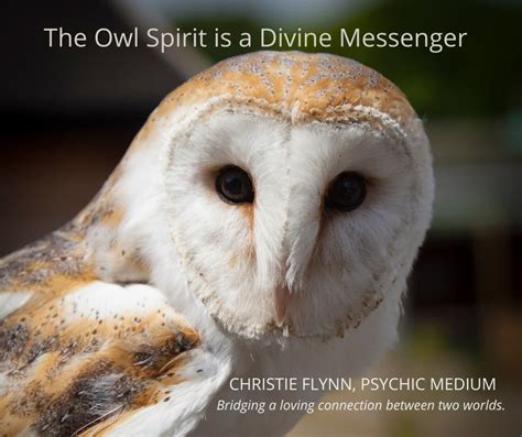 Owls as Spiritual Guides and Messengers